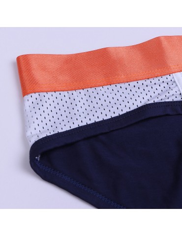 Sexy Patchwork Mesh Breathable Briefs for Men